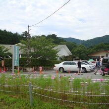 駐車場から眺めたところ～