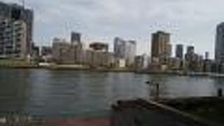 散歩にいいです。