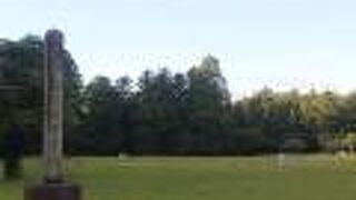 単なるはらっぱでした。