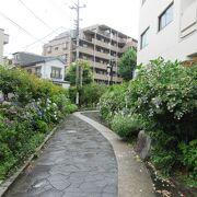 堀切菖蒲園へ行く途中の散策路