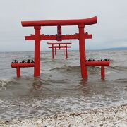 海中に浮かぶ不思議な鳥居