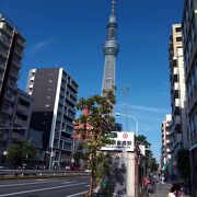 徒歩散策中は、東京スカイツリーの絶景が楽しめます。