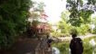 普通の小さな丘という感じ