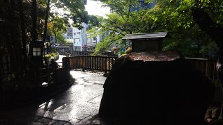 ソメイヨシノで有名な公園