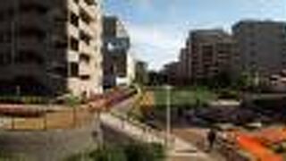 草花がたいへんきれいでした