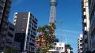 徒歩散策中は、東京スカイツリーの絶景が楽しめます。