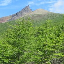 登山道から見ています