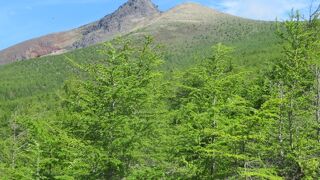 馬の背まで登りました