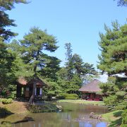 初夏ならば、朝散歩にお勧め