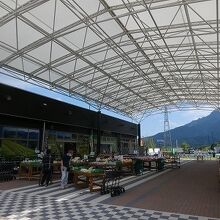 美味しいフルーツは夏場かな