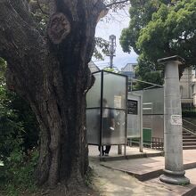 喫煙所があるのは珍しいかも。煙は気になりません。