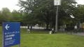 午後は静かです