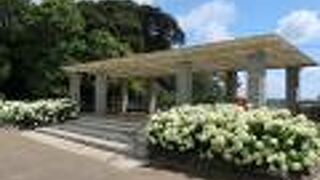 アジサイが見ごたえあり。