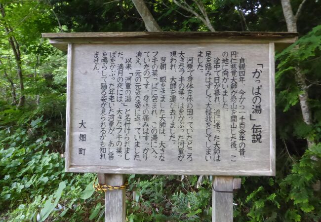 薬研温泉 かっぱの湯