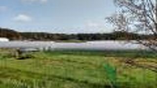 ドックランも併設