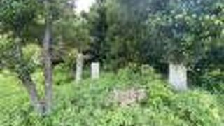 長田大主を祀る御嶽！