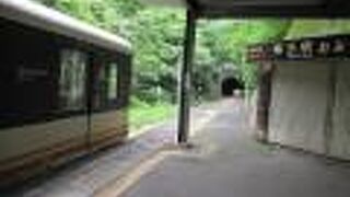 東武鬼怒川線と直通運転しているが本数が少ない