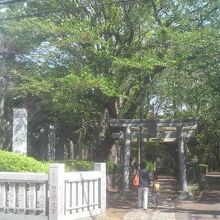 成田街道沿いにあり、深い森に包まれた長い参道が続きます