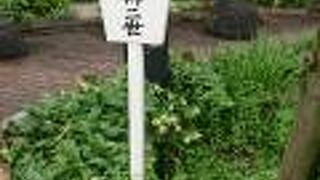 色んなところに