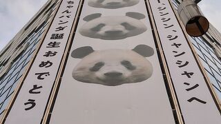 パンダ愛があふれる百貨店。