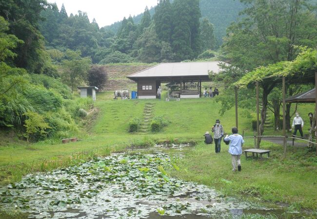 鹿央古代の森 鹿央物産館