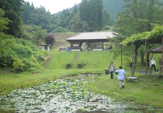 鹿央古代の森 鹿央物産館 クチコミ アクセス 営業時間 山鹿 フォートラベル