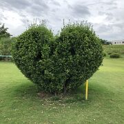 河川敷のショートコースです。