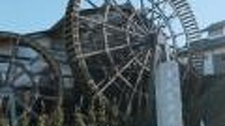 加工食品が多い