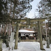 頑張って登って行ったけど社務所は不在で御朱印をもらえなかった