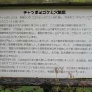 解説を読んでやっと素晴らしさがわかりました