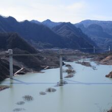 昔とは違うだろうけど、秋にはまた美しい紅葉を見せて欲しい