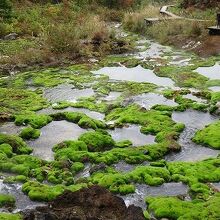 ちょっとわかりにくいかな