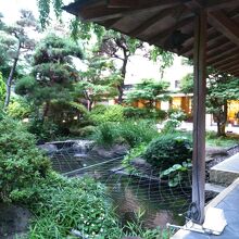 「日本庭園」は草木が茂り過ぎでした。