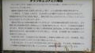 解説を読んでやっと素晴らしさがわかりました