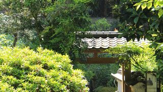 中岡慎太郎館からすぐ近くにある