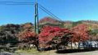 混んでいても秋の紅葉の時期がお薦めです