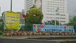 夏場は青々してますね