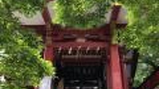 青葉が清々しい