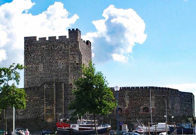 キャリックファーガス城