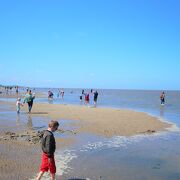 ドイツの自然遺産・世界最大の干潟「ワッデン海」