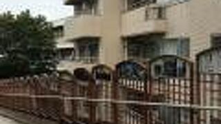 昔の写真が見れる