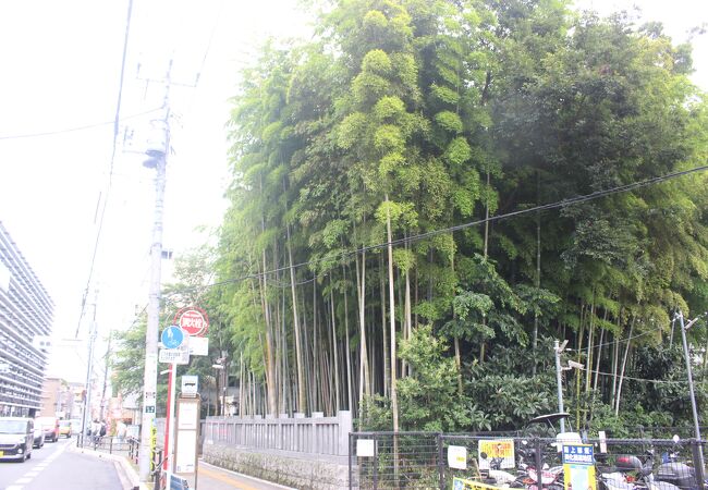 不知八幡森 八幡の藪知らず クチコミ アクセス 営業時間 市川 フォートラベル