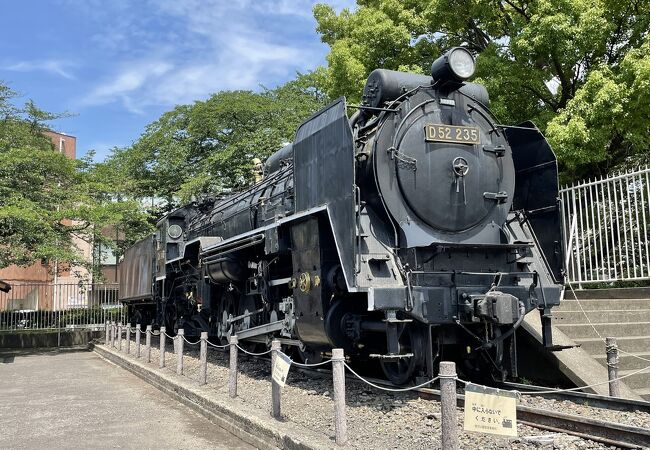 鹿沼公園 クチコミ アクセス 営業時間 相模原 フォートラベル 鹿沼公園 クチコミ アクセス 営業時間 相模原 フォートラベル
