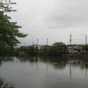 市川大野駅から歩いて15分ほど　池の周りの公園です