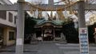 狛犬と賽銭入れの形に衝撃を受ける