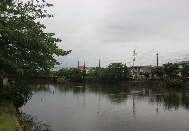 市川大野駅から歩いて15分ほど　池の周りの公園です