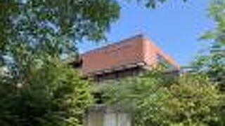 桜のある市民のホール