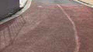 ついでにウォーキング