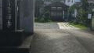 木の葉っぱが垂れ下がる