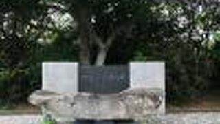 宮崎県出身者を